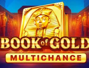 Book of Gold Multichance slot machine di Playson